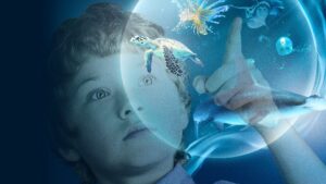 Wonders of the Sea