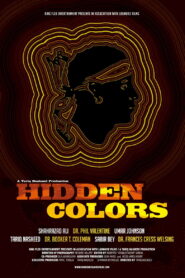 Hidden Colors