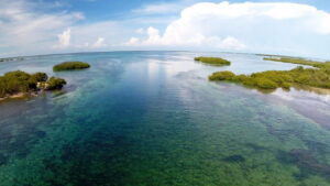 Castro’s Secret Reef