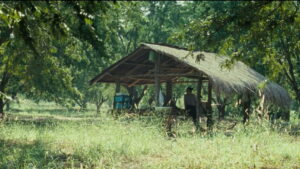 Uncle Boonmee Who Can Recall His Past Lives