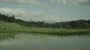 Little Forest: Winter/Spring