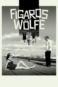 Figaros Wölfe