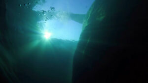 The World Of Bridges