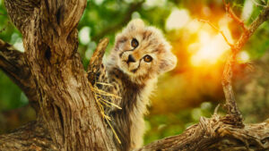 Born to be Wild (2025)