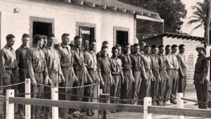 The Millionaires’ Unit