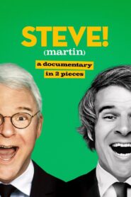 STEVE! (martin) a documentary in 2 pieces