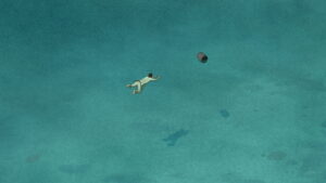 The Red Turtle