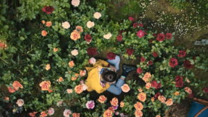 The Sky Is Everywhere