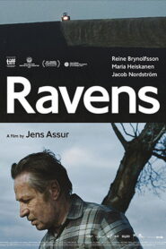 Ravens