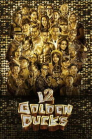 12 Golden Ducks