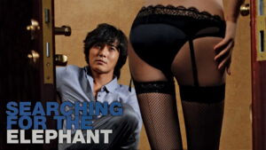 Searching for the Elephant