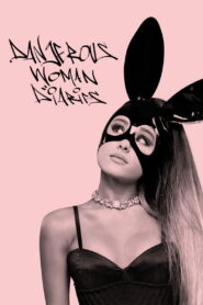 Dangerous Woman Diaries