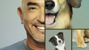 Cesar Millan: Better Human Better Dog