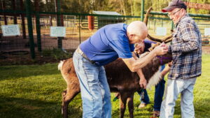 The Incredible Dr Pol