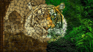 Tigerland