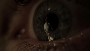 I Am the Pretty Thing That Lives in the House