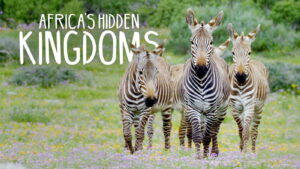 Africa’s Hidden Kingdoms
