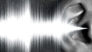 In Pursuit of Silence