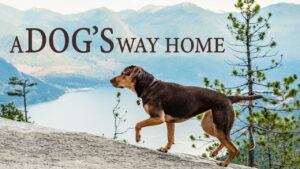 A Dog’s Way Home