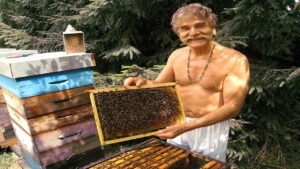Queen of the Sun: What Are the Bees Telling Us?‎