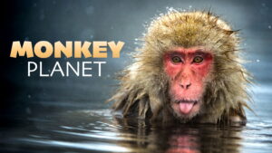 Monkey Planet