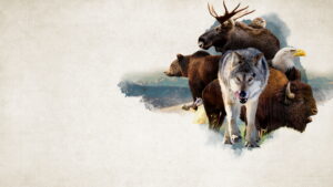 America the Beautiful (2022)