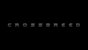 Crossbreed