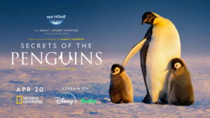 Secrets of the Penguins