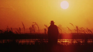 Yakuza Wolf: I Perform Murder