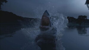 Shark Night 3D