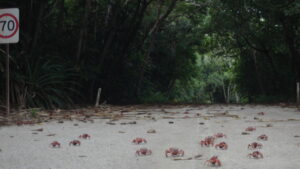 Island of the Hungry Ghosts