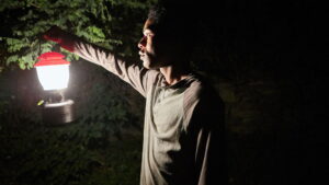 It Comes at Night