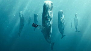 Whale with Steve Backshall