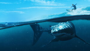 When Sharks Attack 360