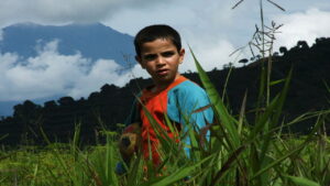 The Colors of the Mountain