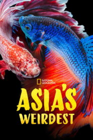 Asia’s Weirdest