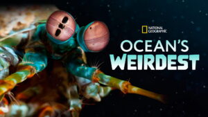 Ocean’s Weirdest