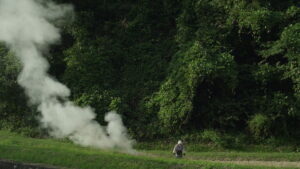 Little Forest: Winter/Spring