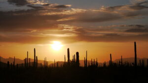Wild West – America’s Great Frontier