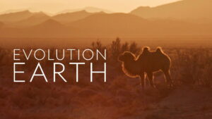 Evolution Earth