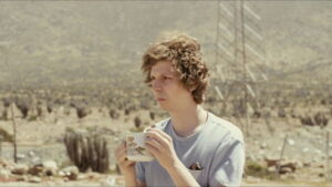 Crystal Fairy & the Magical Cactus