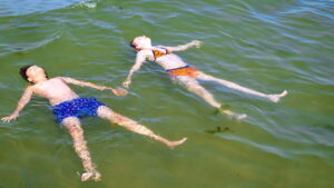 My Extraordinary Summer with Tess