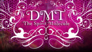 DMT: The Spirit Molecule