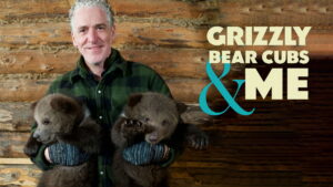 Grizzly Bear Cubs and Me