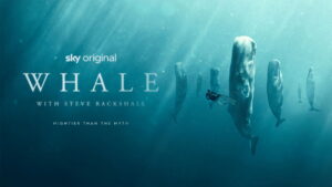Whale with Steve Backshall