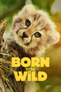 Born to be Wild (2025)