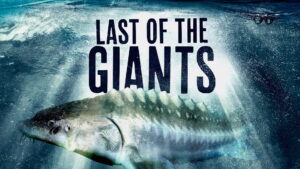 Last of the Giants