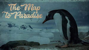 The Map to Paradise