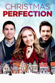 Christmas Perfection