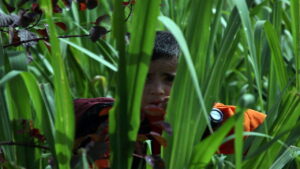 The Colors of the Mountain